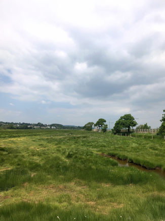 Tram Holt at a Distance