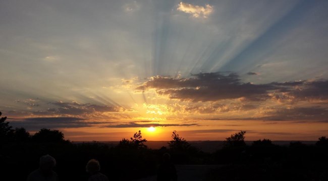 Trinity Hill Local Nature Reserve sunset