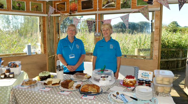 Volunteers serving cake at Seaton Wetlands