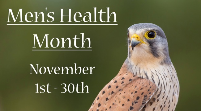 Men's Health month - November