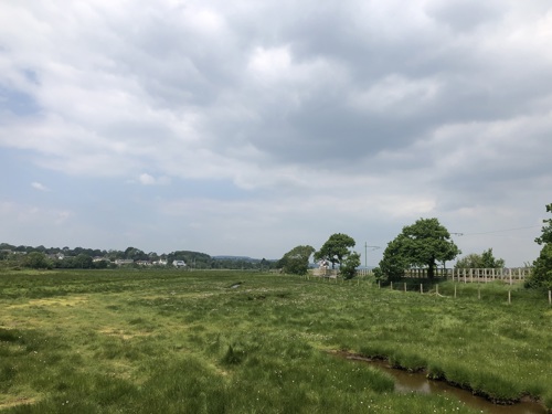 Tram halt over Coly commom