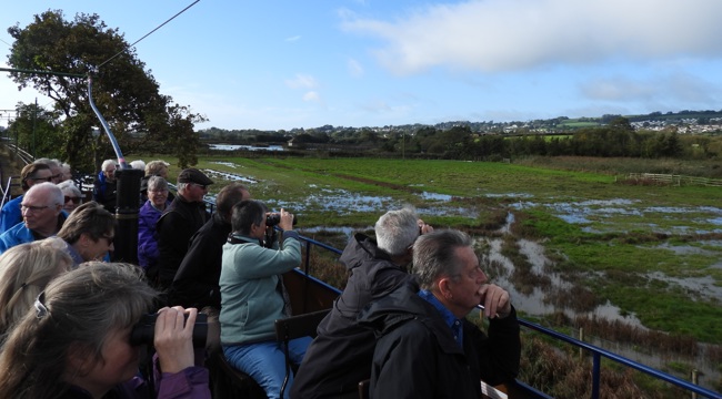 Group of volunteers on the tram