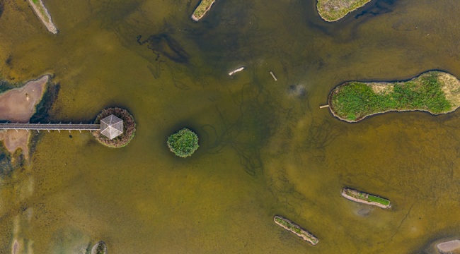 Aerial Image of Seaton Wetlands (Credit Kyle Baker)